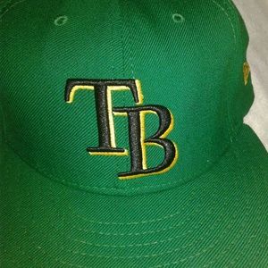 tampa bay rays fitted